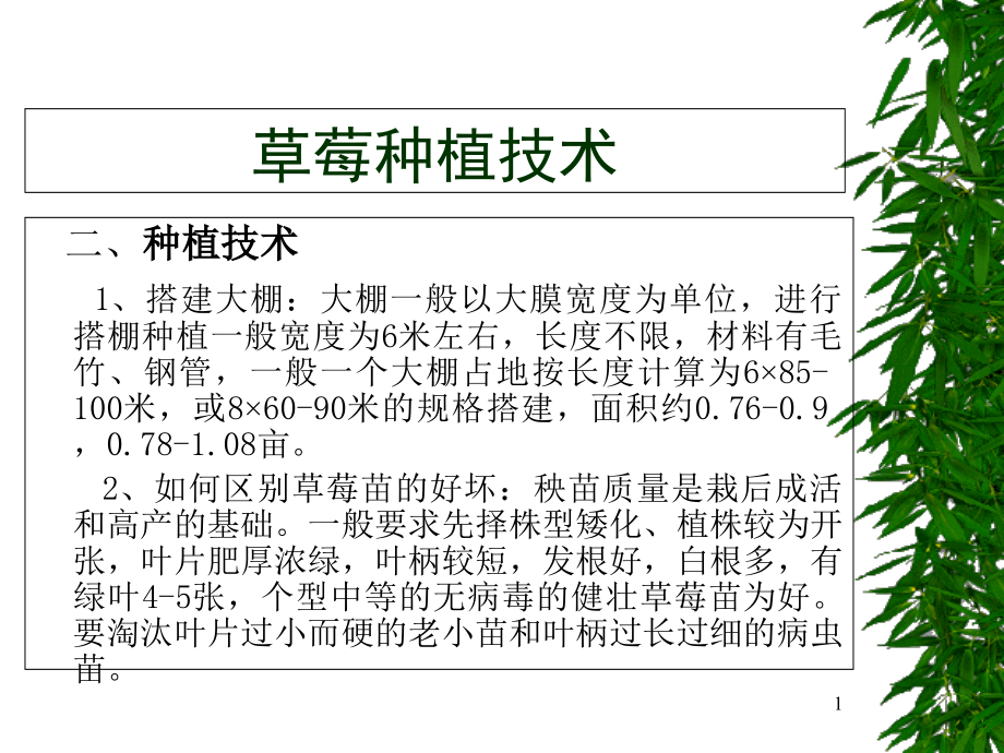 草莓种植技术ppt课件_第1页