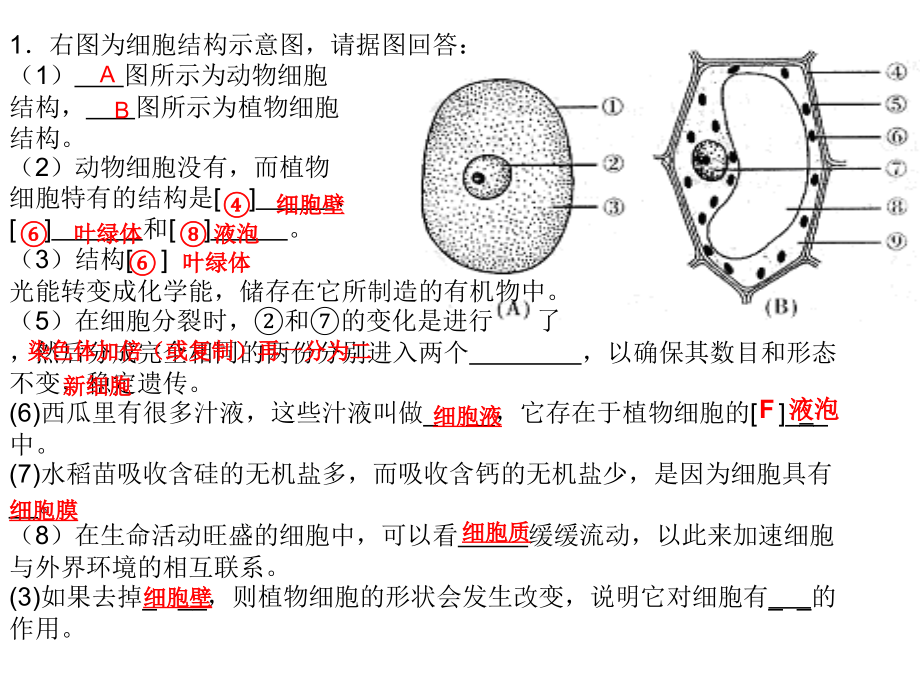 人教版生物七年级上册图复习课件_第1页