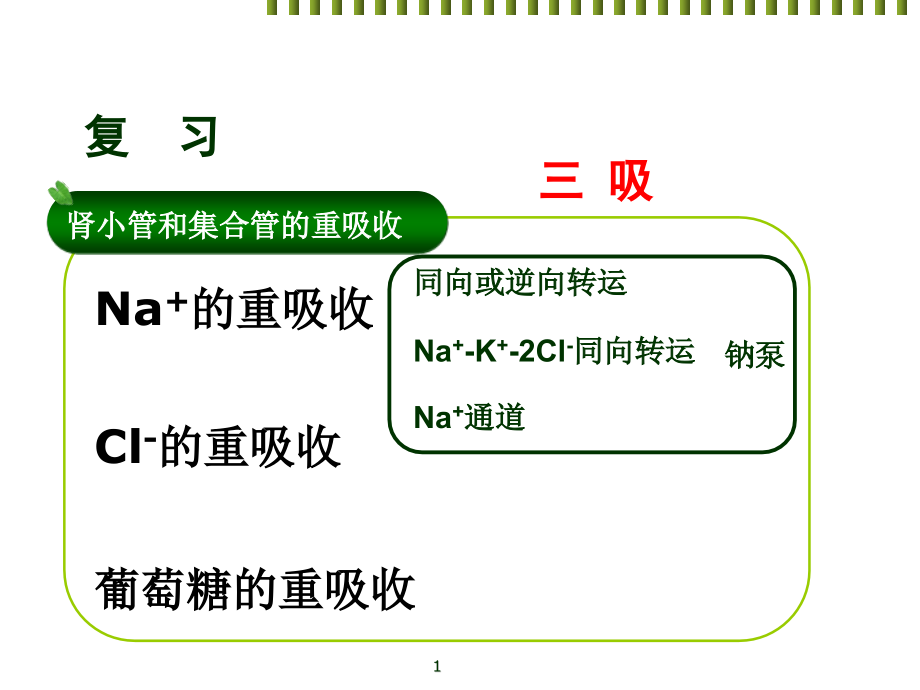 临床医学尿液的浓缩和稀释课件_第1页