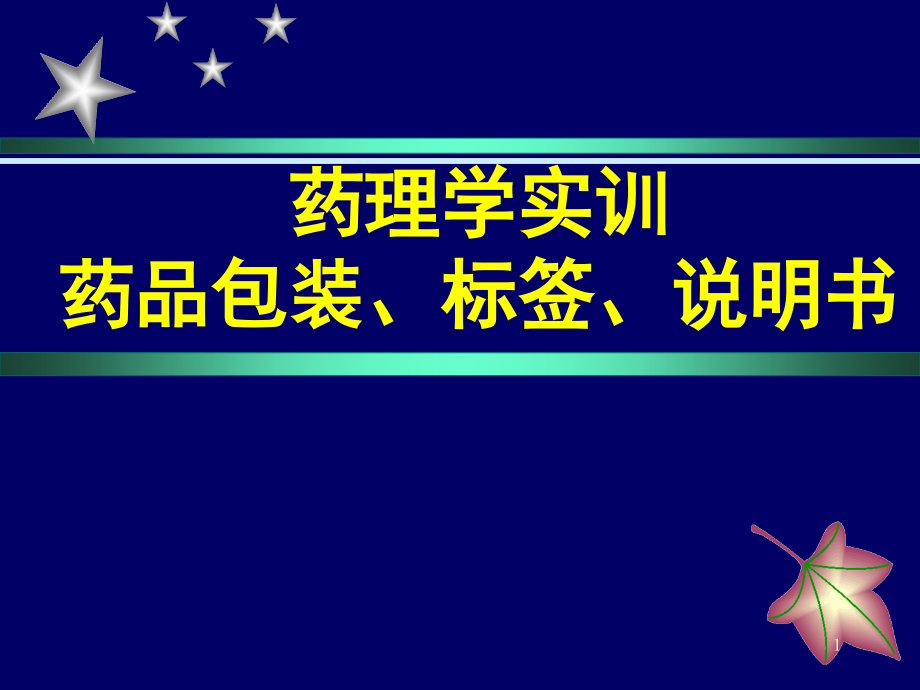 药品的包装、标签、说明书课件_第1页