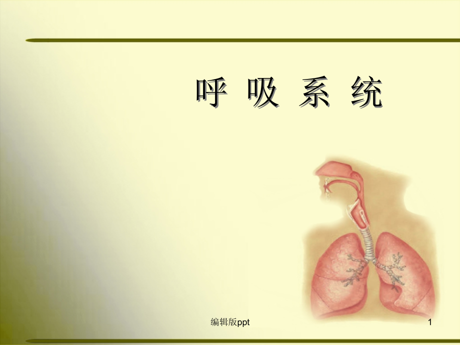 人体解剖学呼吸系统课件_参考_第1页