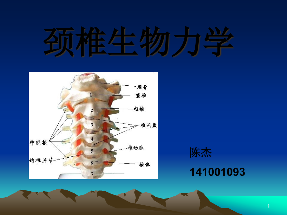 (骨生物力学ppt课件)颈椎生物力学_第1页