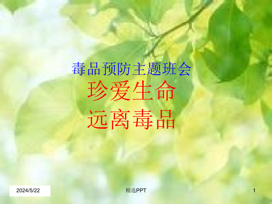 禁毒主题班会课件_第1页