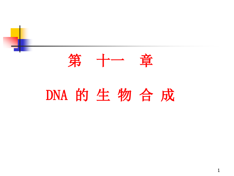 《生物化學(xué)ppt課件》11-DNA的生物合成_第1頁(yè)