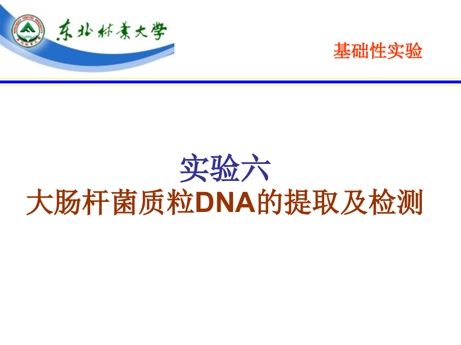 实验六、大肠杆菌质粒DNA的提取与电泳检测ppt课件_第1页