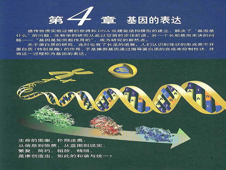 高中生物必修二ppt课件基因指导蛋白质的合成_第1页