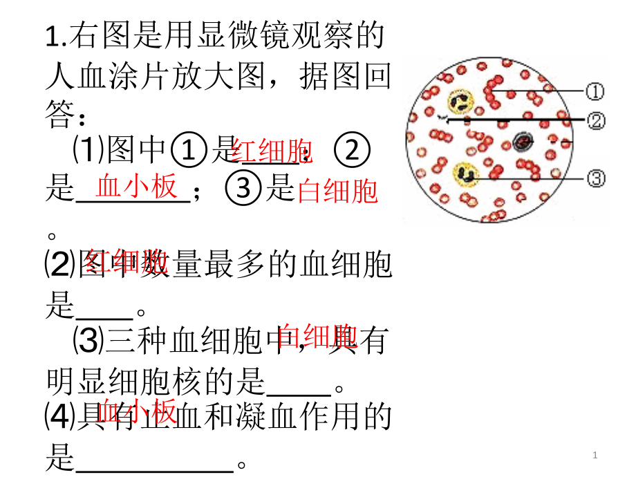 右图是用显微镜观察的人血涂片放大图据图回答课件_第1页