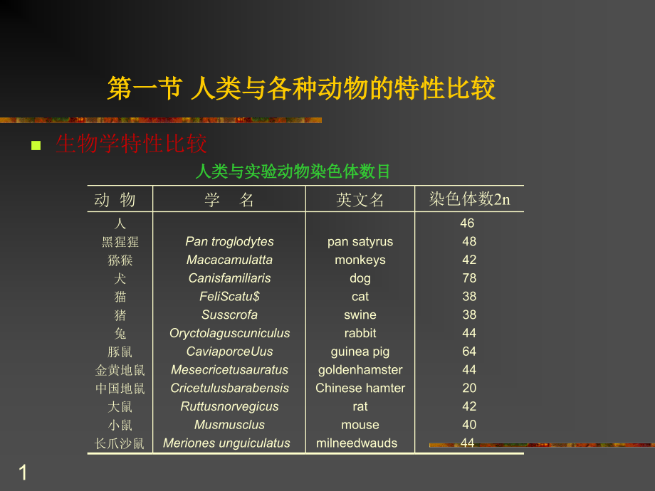 实验动物选择ppt课件_第1页