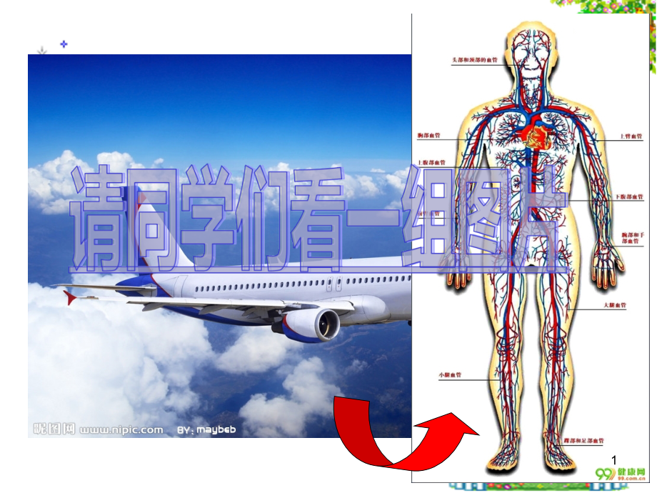 l七下4-4-1流动的组织——血液 课件_第1页