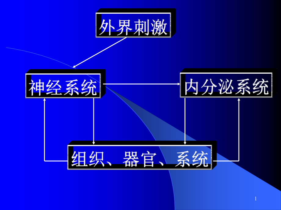 组织器官系统ppt课件_第1页