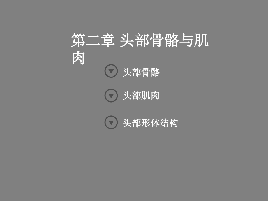 艺用人体解剖学-头部躯干ppt课件_第1页