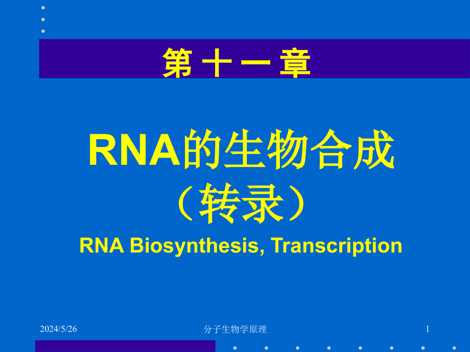 分子生物学原理--RNA的生物合成 课件_第1页