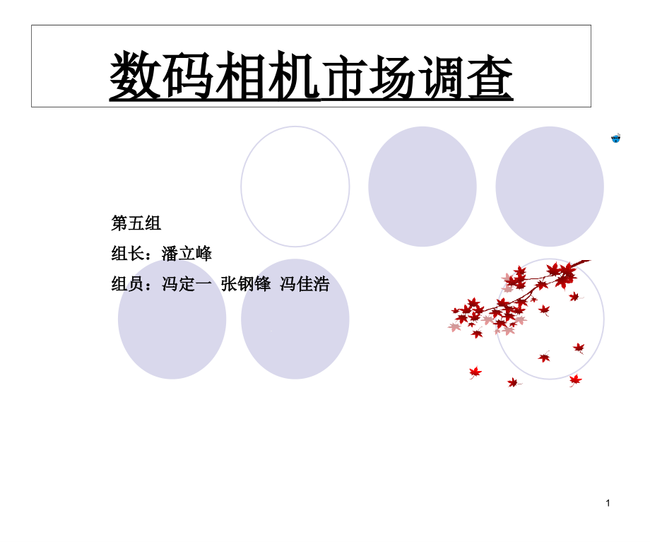 数码相机市场调查ppt课件_第1页