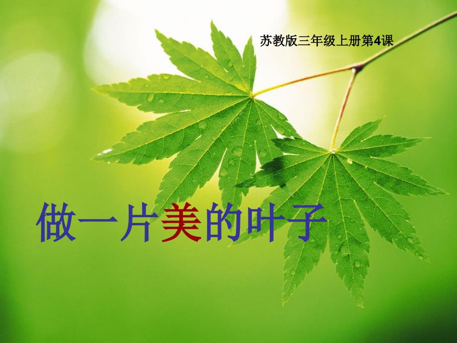 做一片美丽的叶子·实用课件_第1页