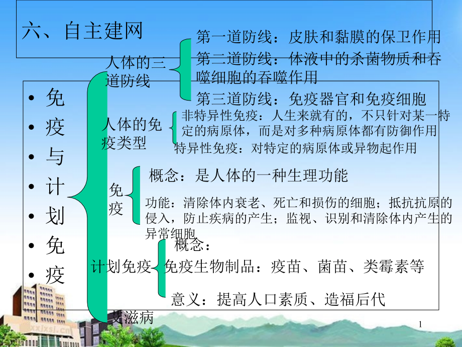 用药和急救 ppt课件_第1页