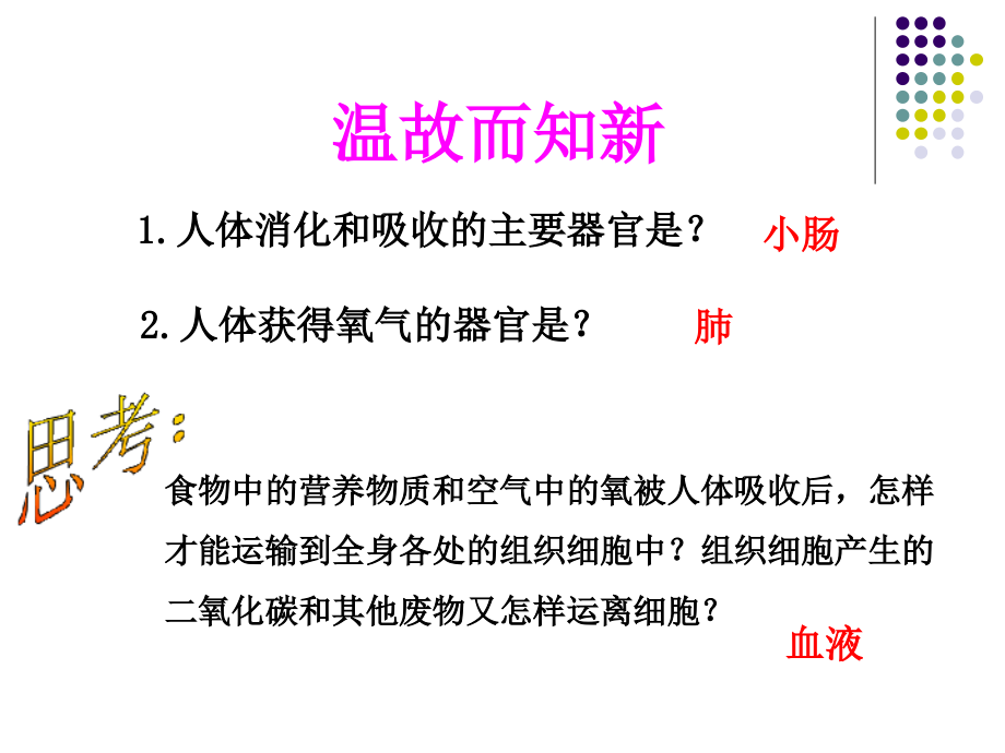 初中生物七年級下冊《第一節(jié)流動的組織血液》-課件_第1頁