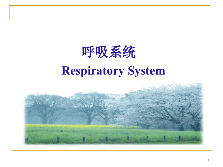 呼吸泌尿生殖概述课件ppt_第1页