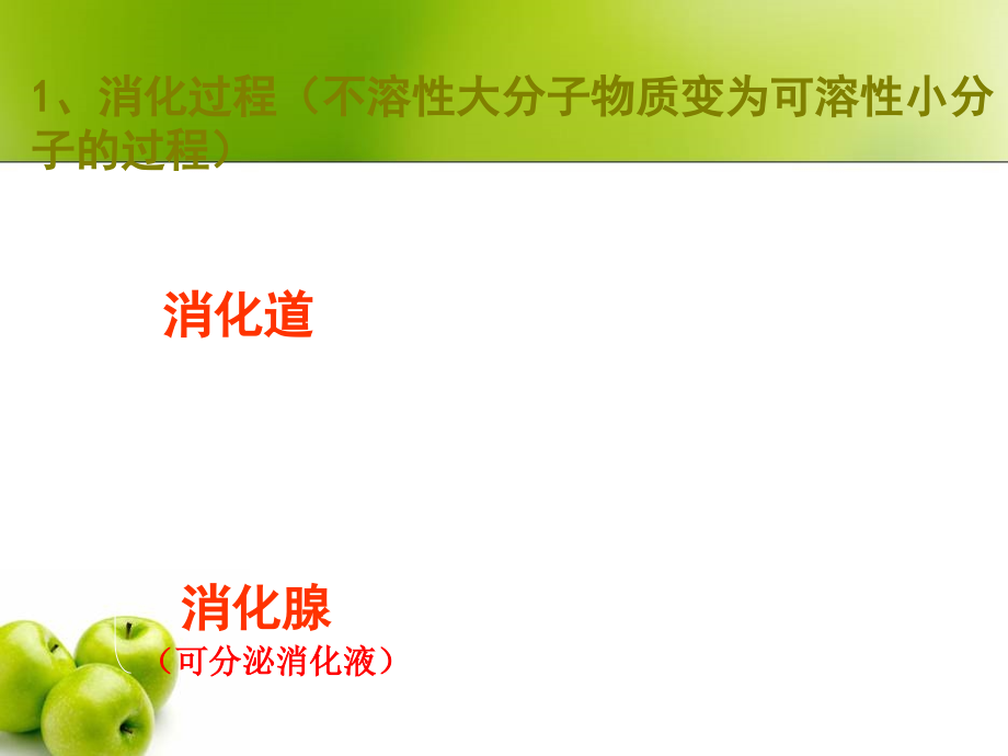 七年級下冊生物《食物的消化與吸收》公開課ppt課件_第1頁