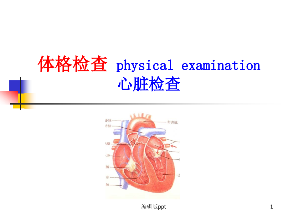 心脏检查课件_第1页