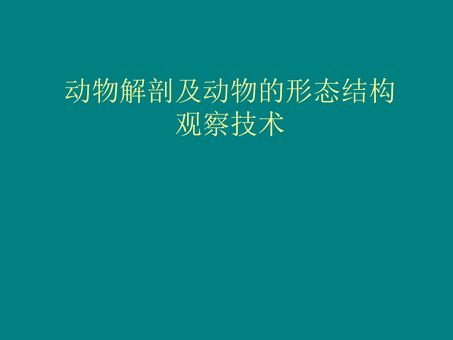 动物解剖及动物的形态结构课件_第1页