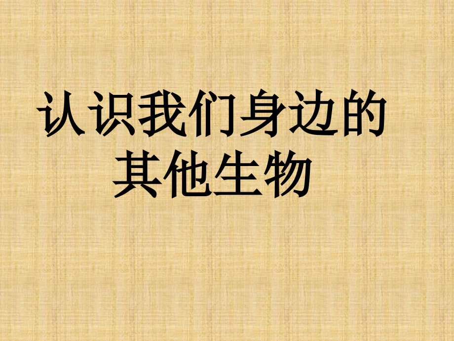 北京版七上《認(rèn)識(shí)我們身邊的其他生物》課件1_第1頁(yè)