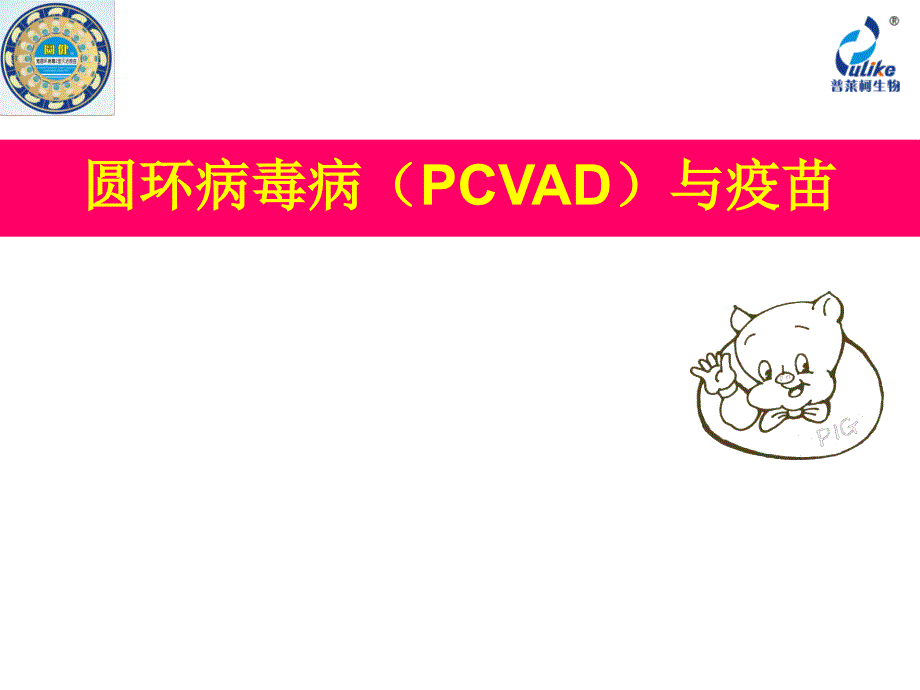 圆环-Pcv2的认识教材课件_第1页