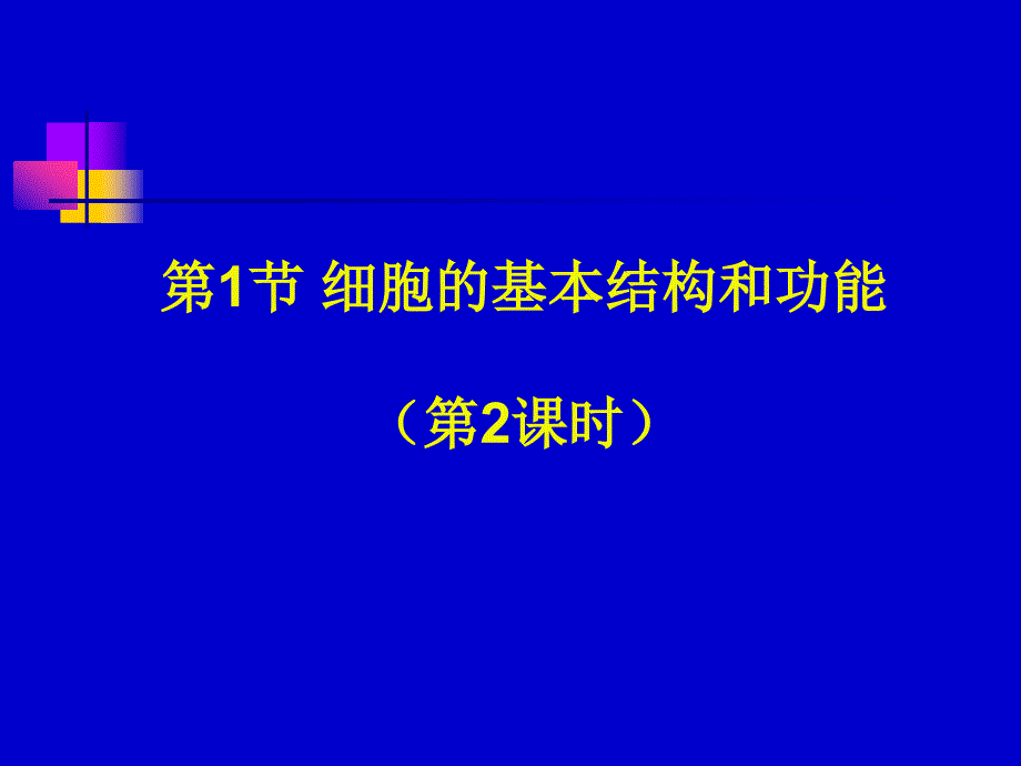 口腔上皮细胞课件_第1页