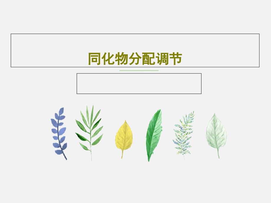 同化物分配调节教学课件_第1页