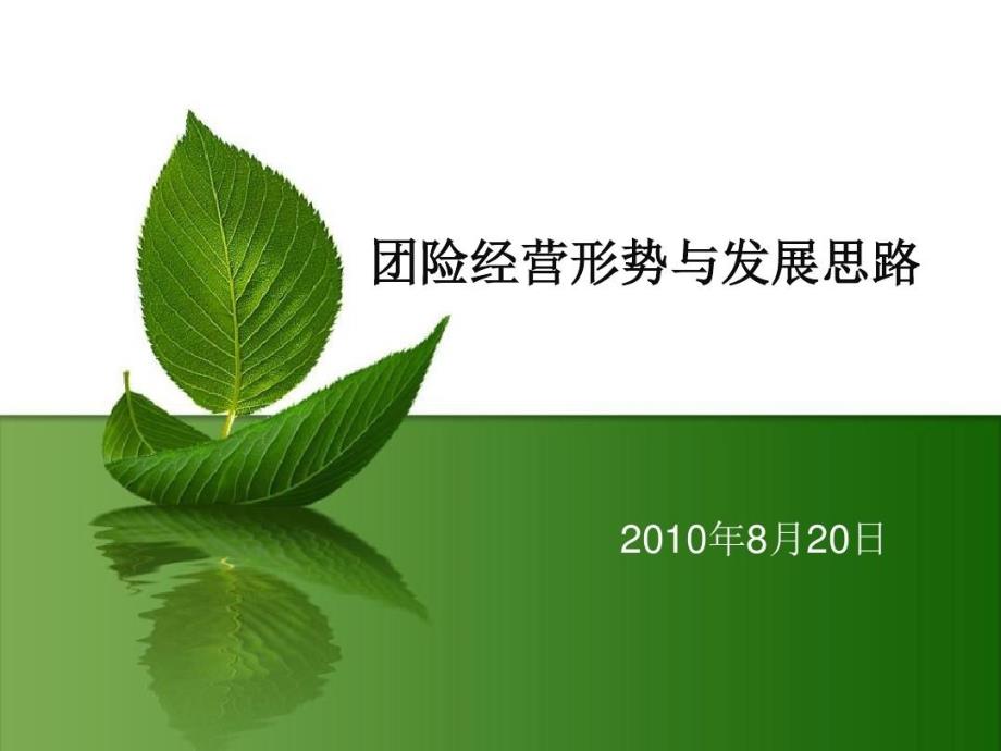 团险经营形势与发展思路教学课件_第1页