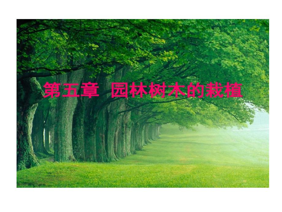 园林树木栽植技术和方法教学课件_第1页