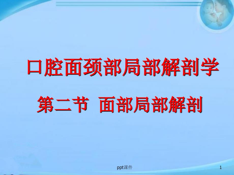 口腔面颈部局部解剖学--面部局部解剖--课件_第1页