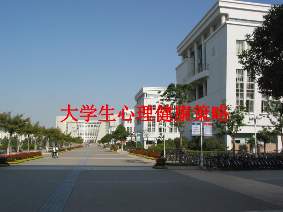 大学生心理健康咨询名师教学资料课件_第1页