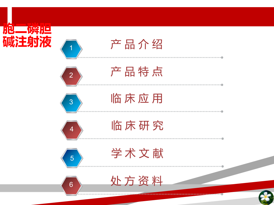 胞二磷胆碱注射液课件_第1页