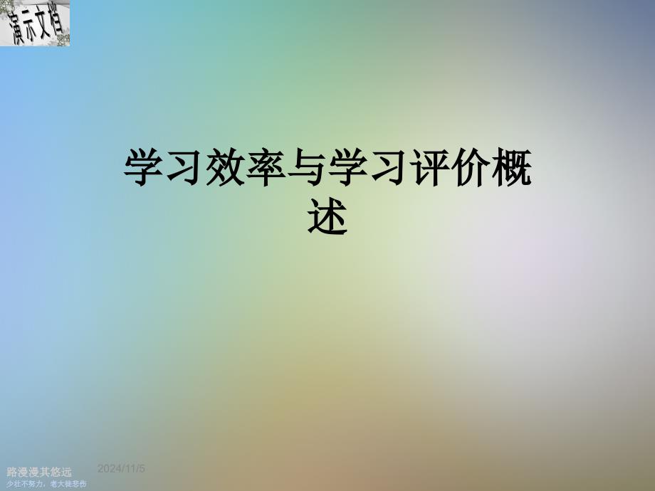 学习效率与学习评价概述课件_第1页