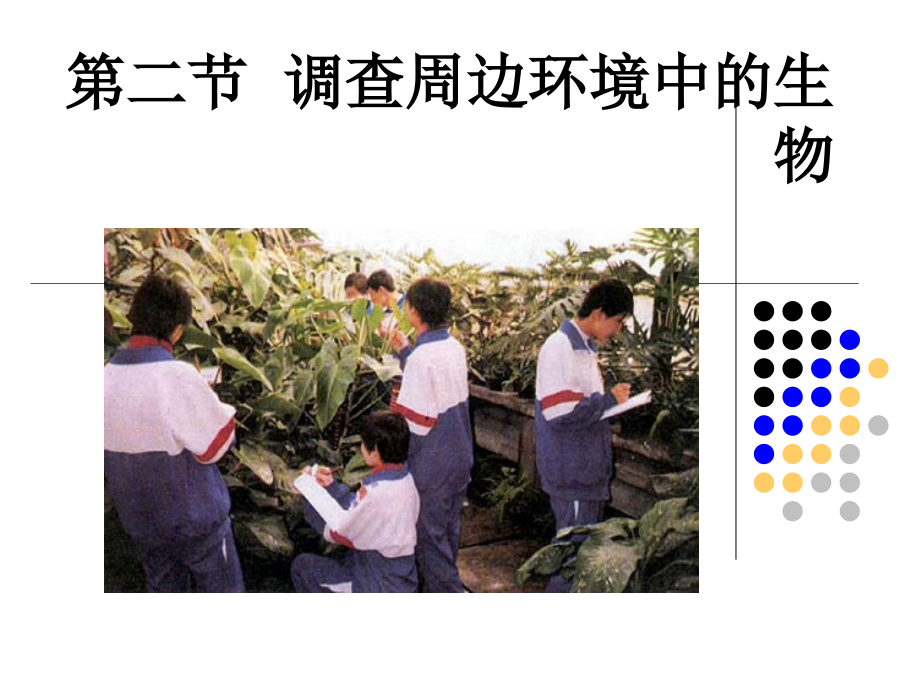 调查周边环境中的生物资料课件_第1页