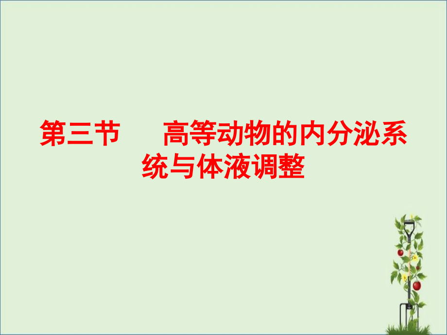 《高等動物的內分泌系統(tǒng)與體液調節(jié)》課件_第1頁