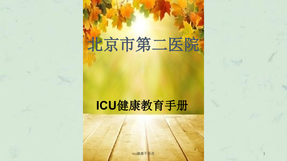 icu健康手册改ppt课件_第1页