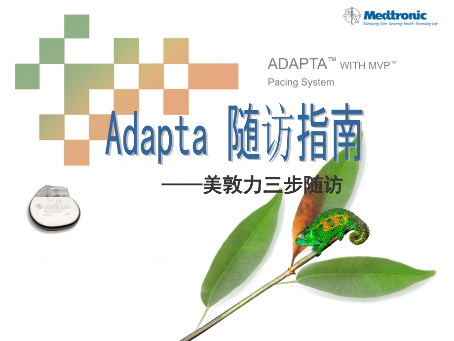 Adapta标准随访流程课件_第1页