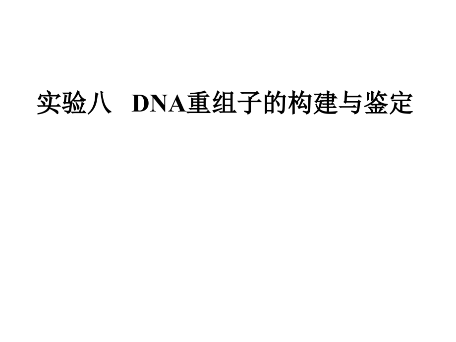 实验八DNA重组子的构建与鉴定参考ppt课件_第1页