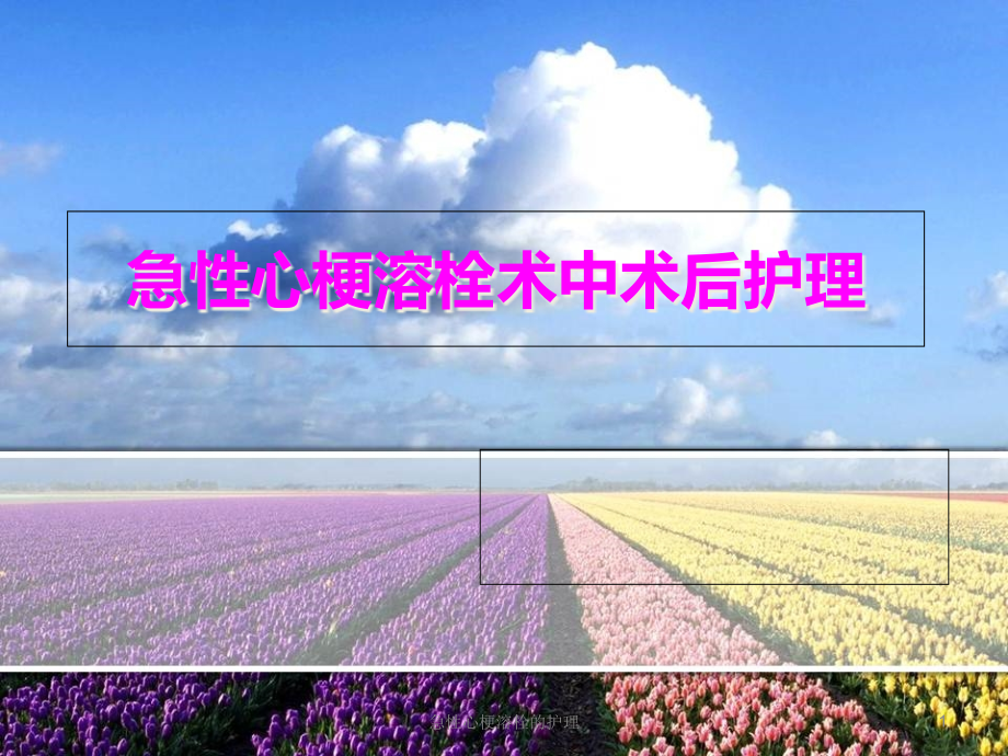 急性心梗溶栓的护理ppt课件_第1页