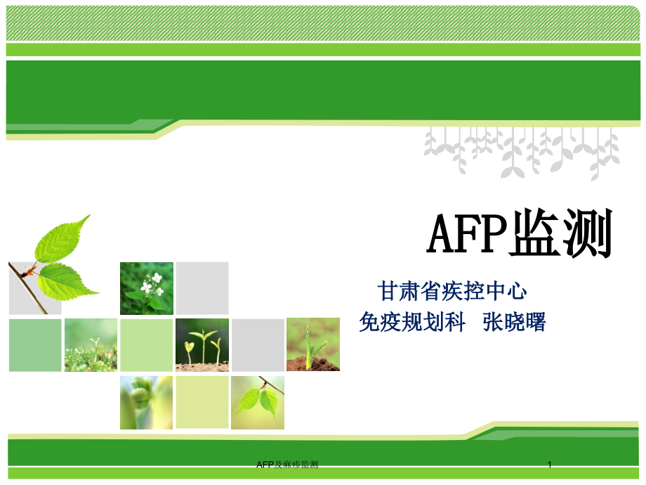 AFP及麻疹监测课件_第1页