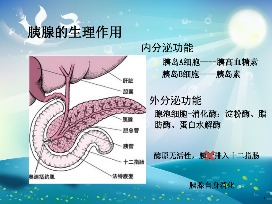 急性胰腺炎的病例分析终稿ppt课件_第1页