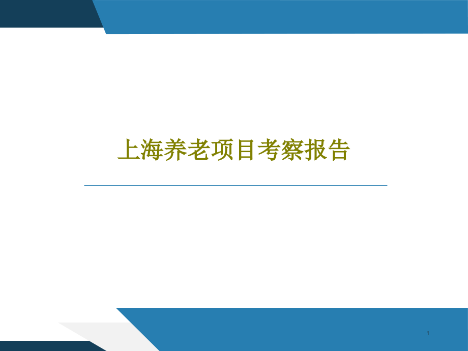 上海养老项目考察报告课件_第1页