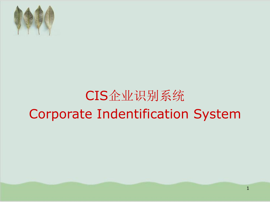 CIS企业识别系统培训课件_第1页