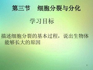 蘇教版七年級上冊第三節(jié)《細胞分裂與分化》課件