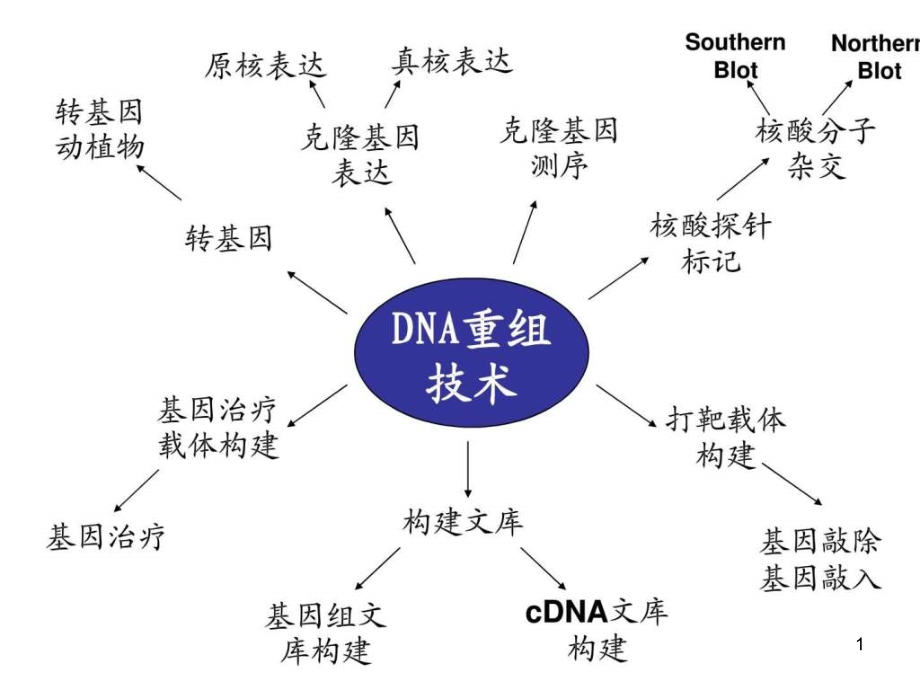 分子生物学ppt课件（五年制）_第1页