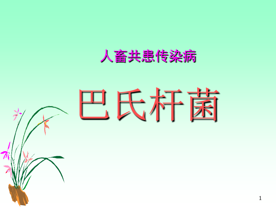 巴氏杆菌病-动物传染病-课件_第1页