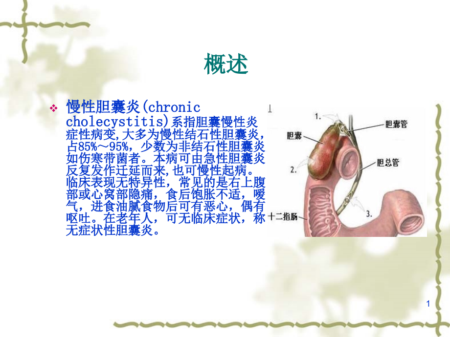 慢性胆囊炎患者的护理查房课件_第1页