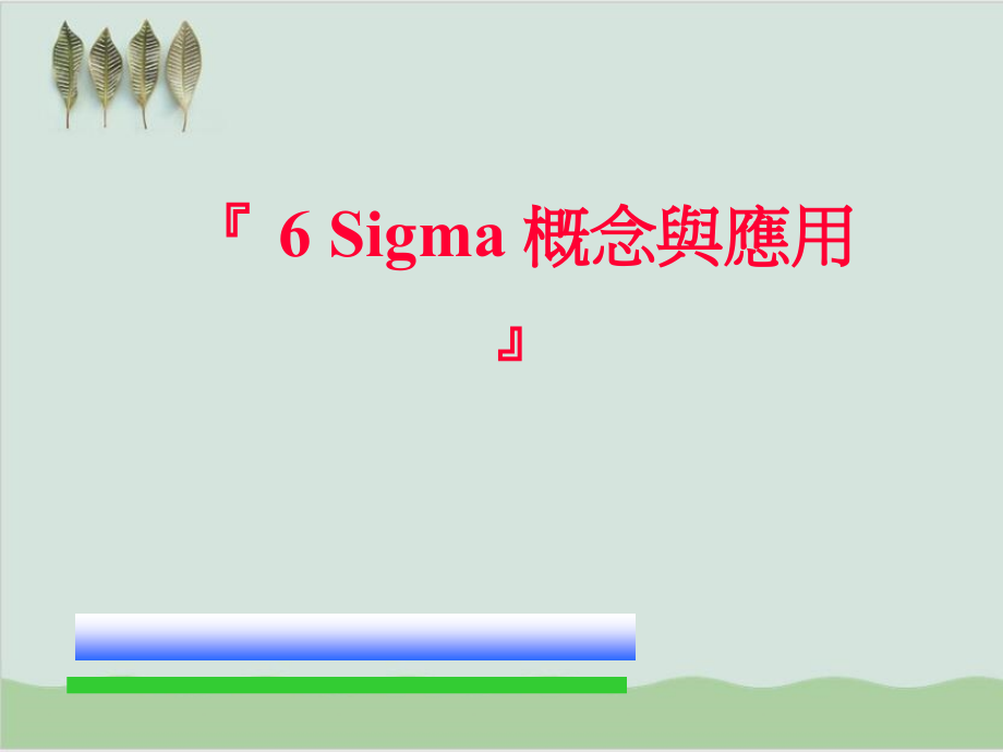 6Sigma概念与应用课程课件_第1页