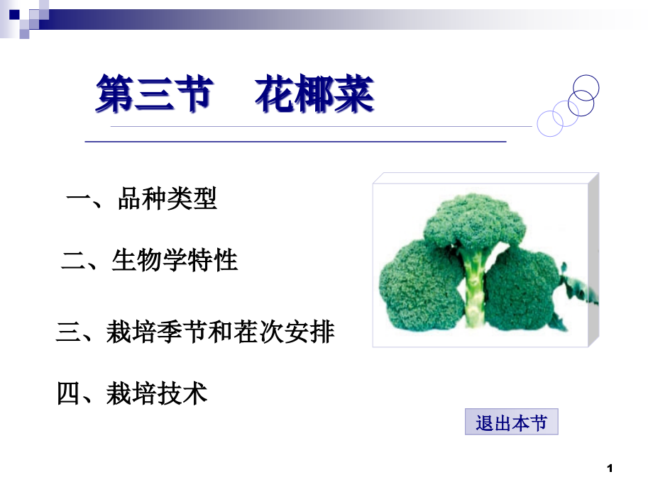 第三节花椰菜课件_第1页